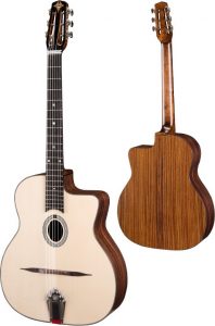 Eastman modello DM 1